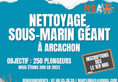 Affiche NSA DAY.